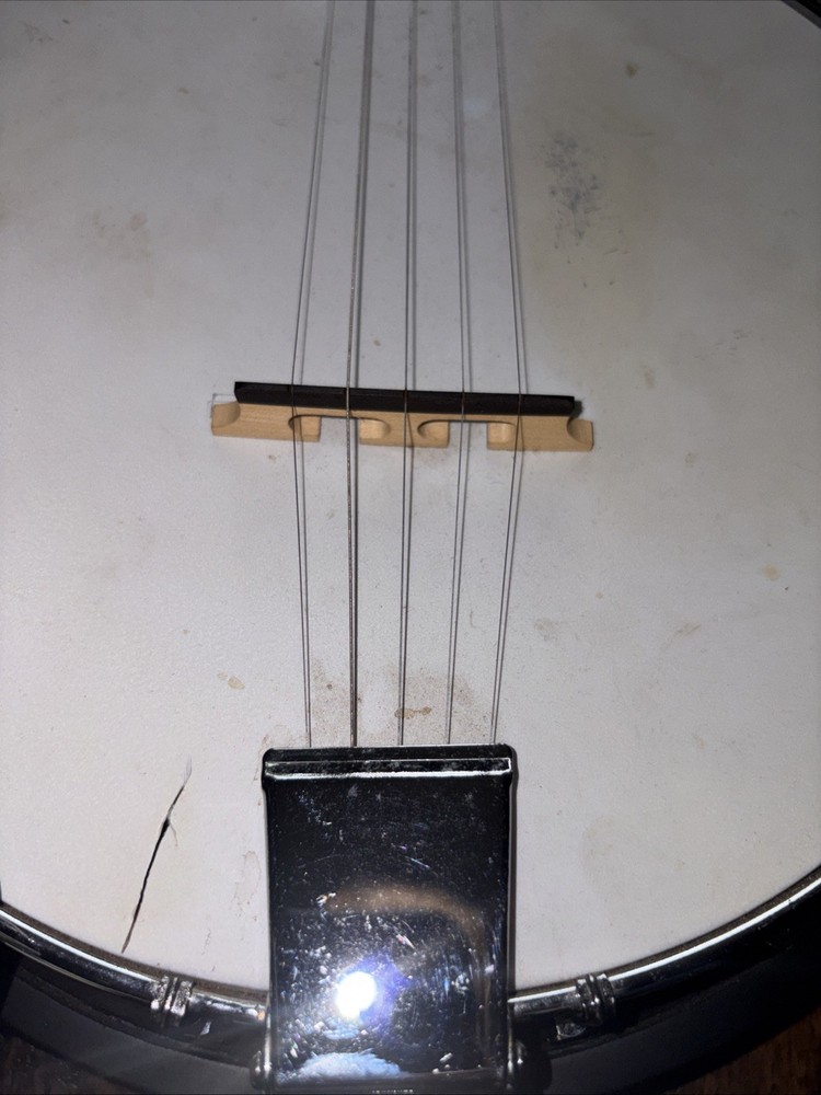 Fender 5 String Banjo & Bag Used