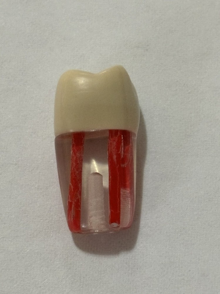 Endo Tooth #26 For ADC MODEL (3 Pack)