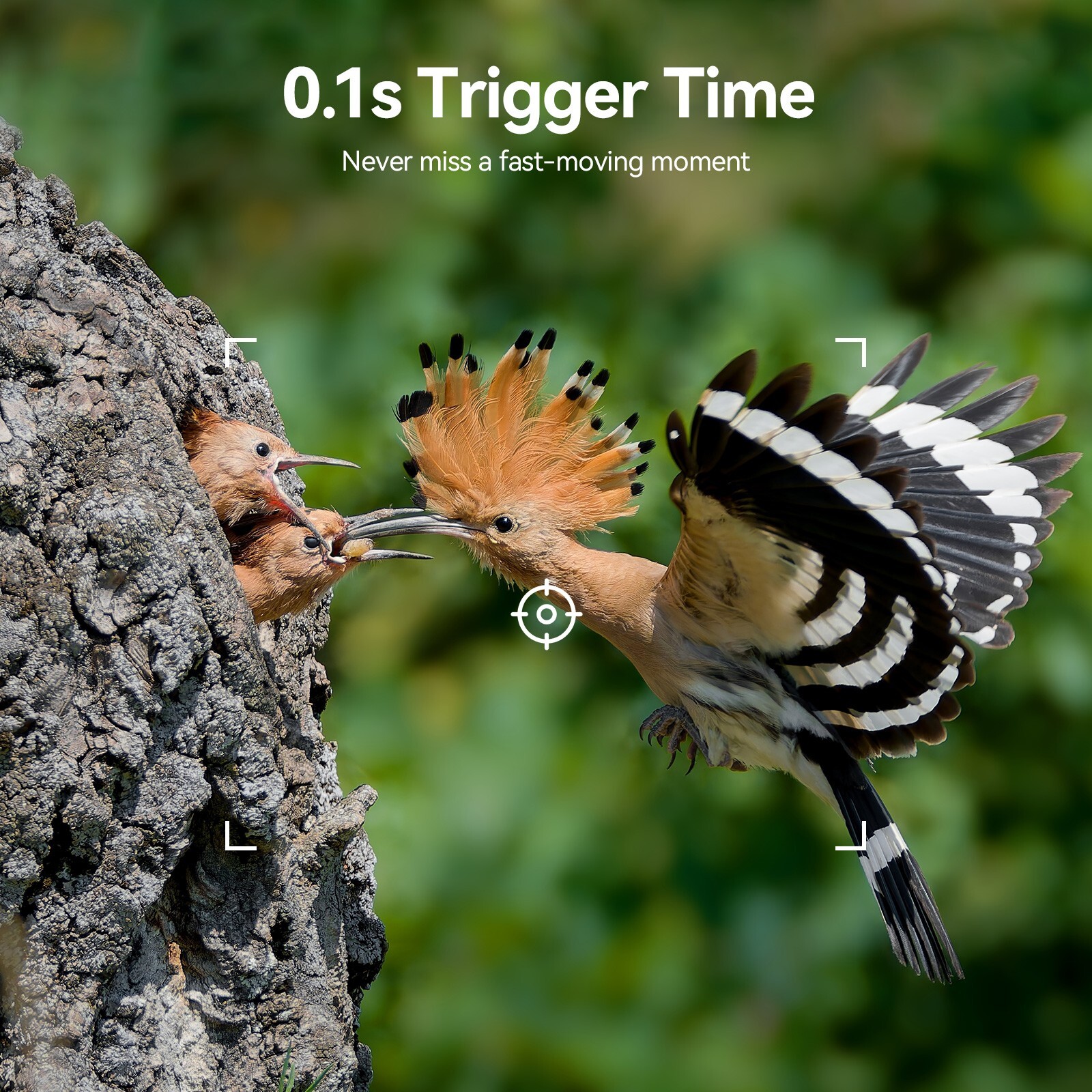 Trail Camera with Night Vision 0.1s Trigger Waterproof for Wildlife Tracking 4K