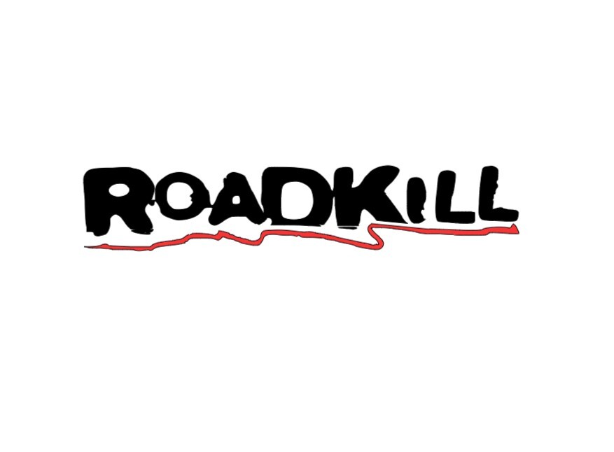 Roadkill Vinyl window decal, Rear glass decal, small side window decal.