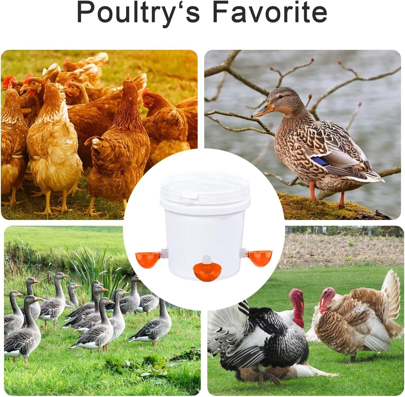 8 PCS Chicken Automatic Watering Cups Drinker Waterer for Duck Quail Hen Poultry