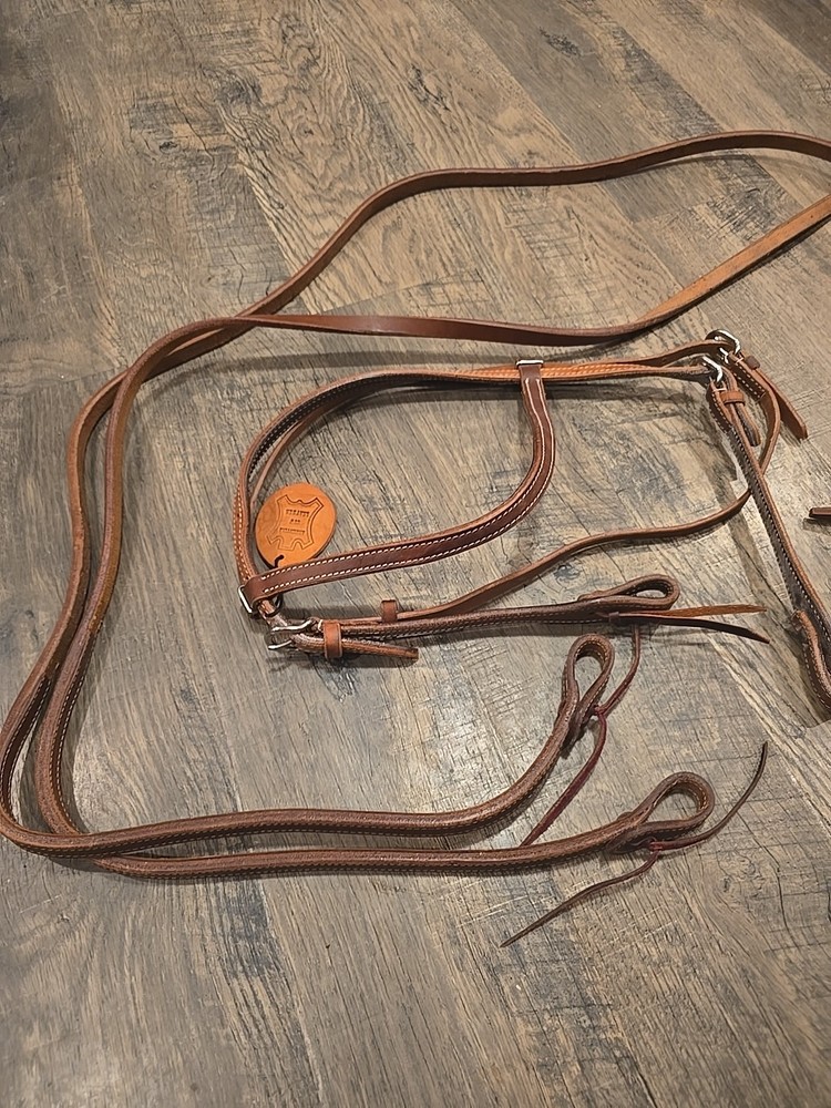 western bridle and reins