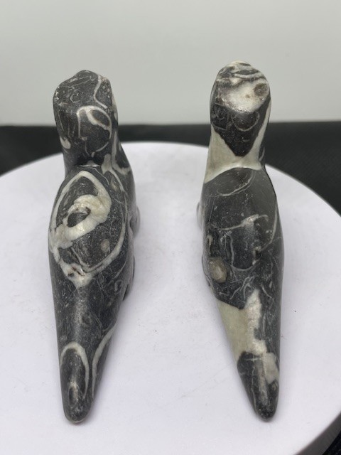 Othoceras Carved Dinos