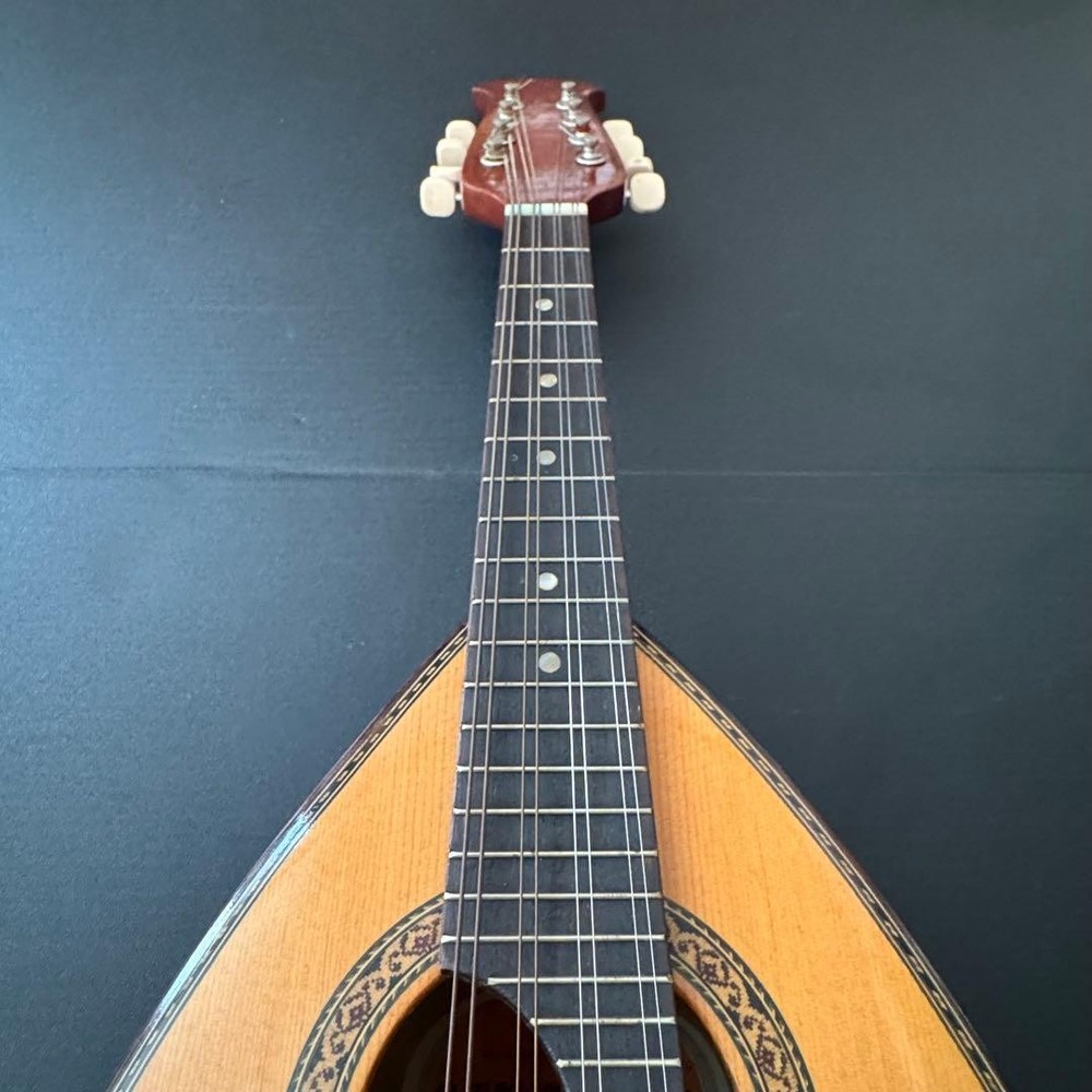 [Hard case ] SUZUKI Mandolin M-215