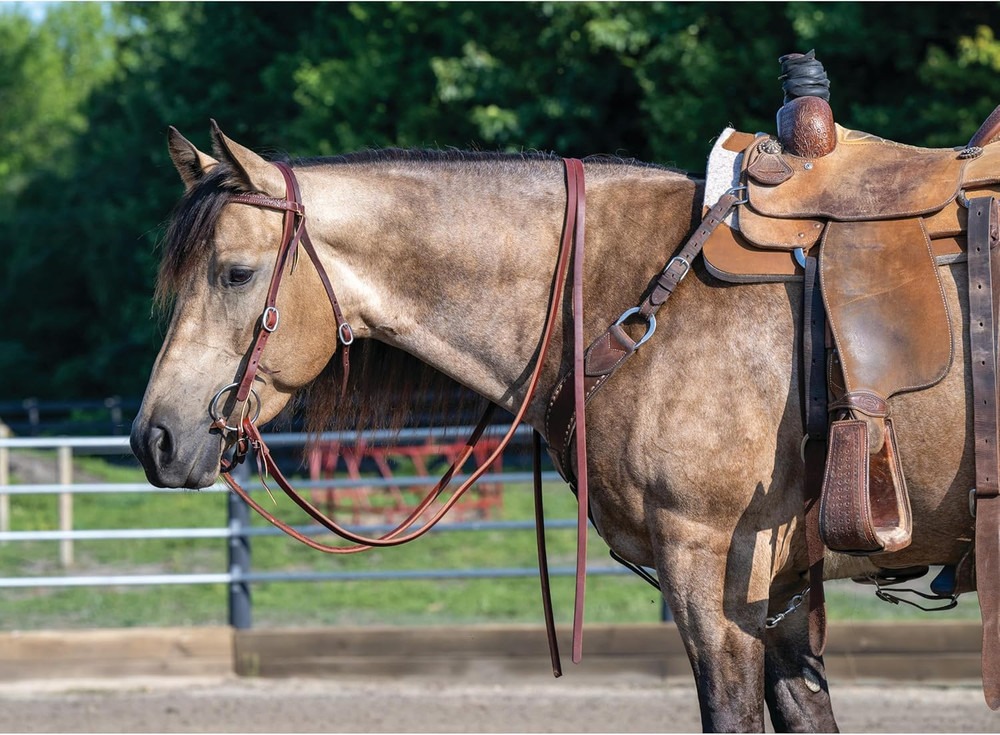 Protack Oiled Split Reins
