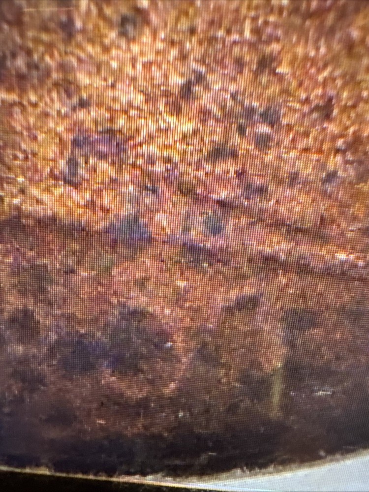 1803 Large Cent Draped Bust