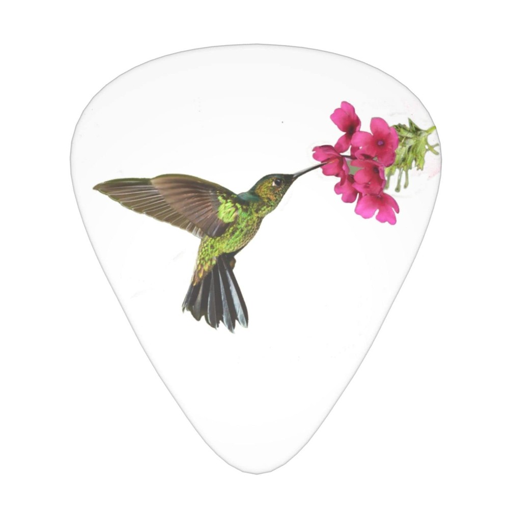 Hummingbird Spring Flower Guitar Picks One Size, 2