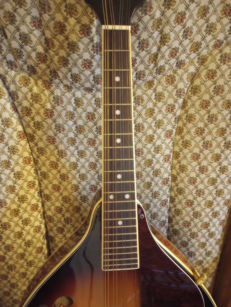 Fender FM-53S SB Mandolin - Solid Spruce Top - Sunburst - TKL Case Included