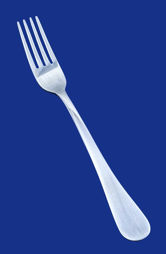 Cuisinart TREVOUX Glossy Stainless Flatware -- CHOICE