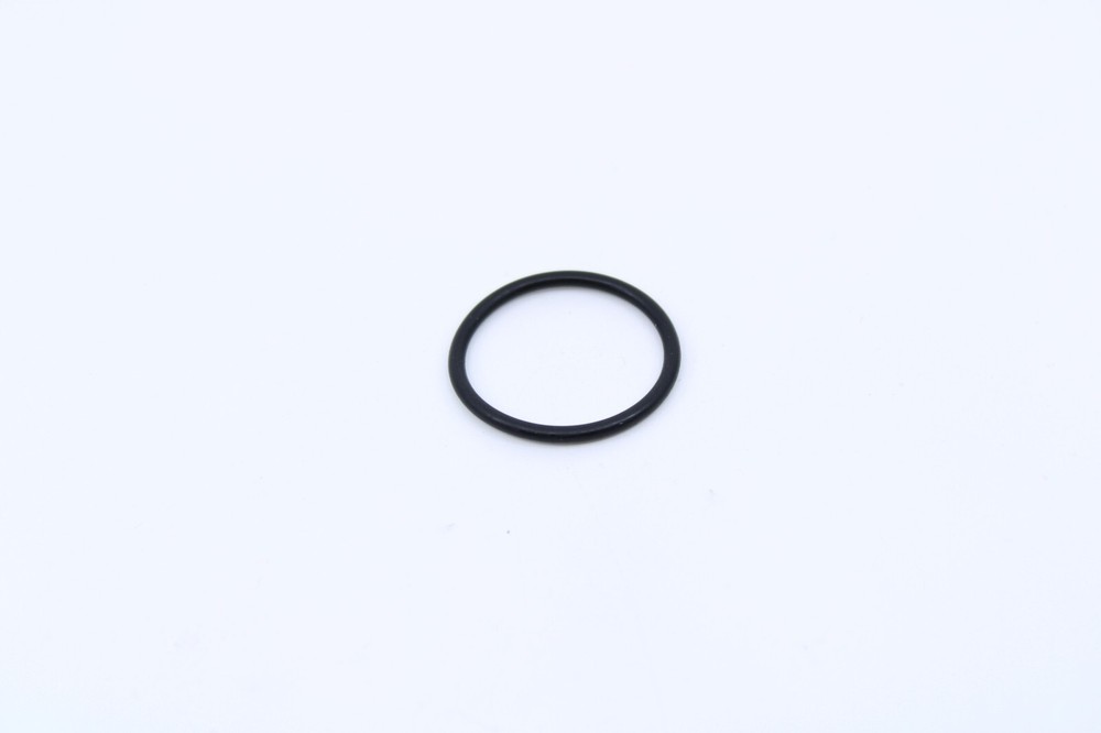 BETA O-Ring 22 .2    10.66495.000