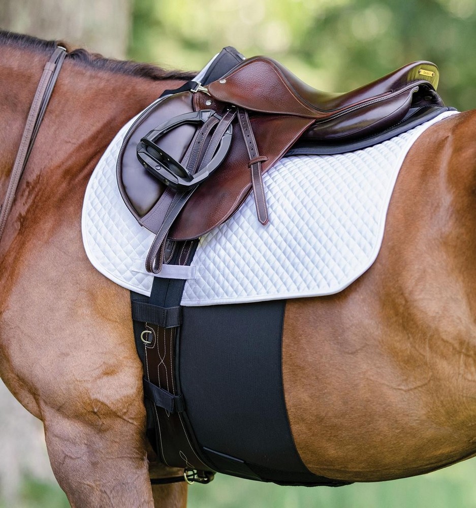 EquiFit Belly Band Plus - Black
