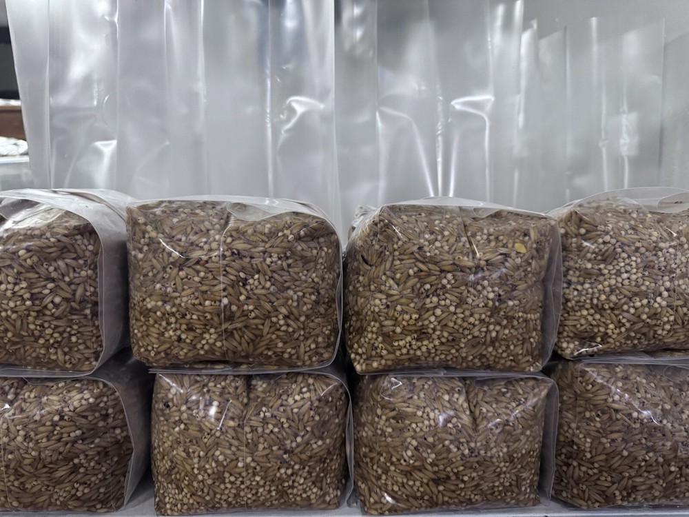Sterilized grain spawn