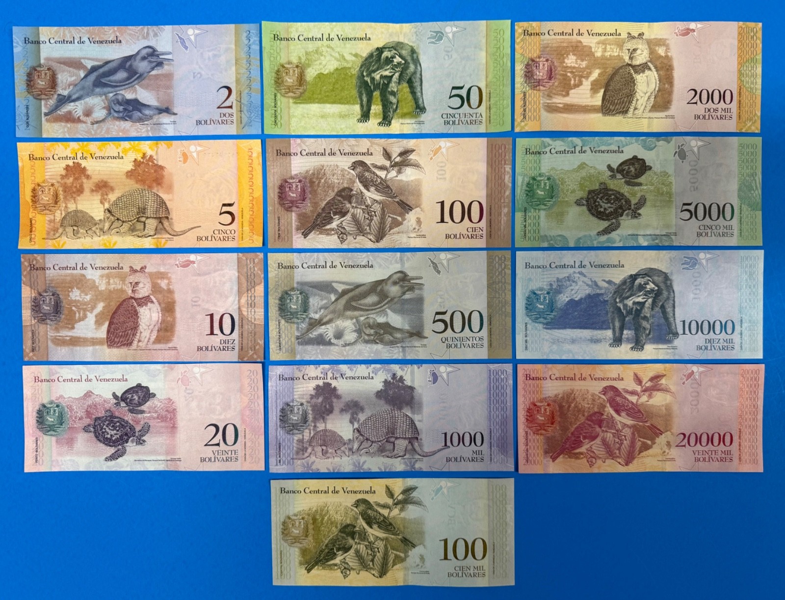 Venezuela 13 NEW UNC Banknotes! Authentic! Real! Bolivares Currency set, Animals