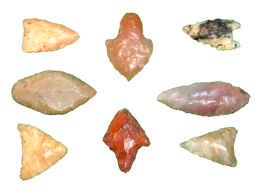 (8) Choice Miniature Assorted Neolithic Points W/CASE, Ancient African Artifacts