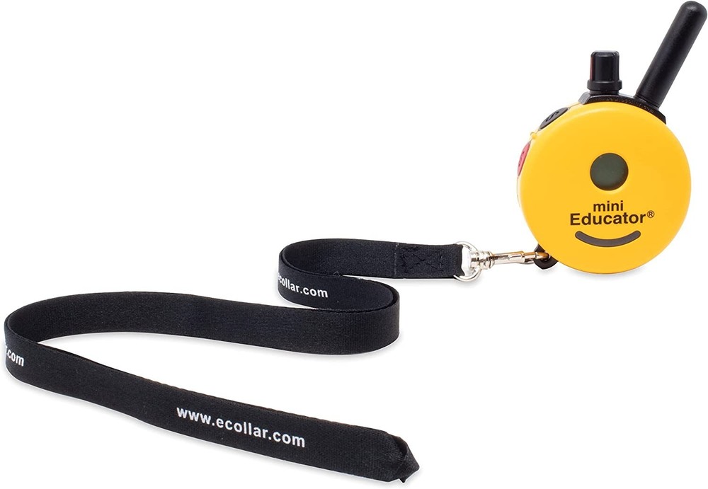 E-Collar Technologies - Lanyard