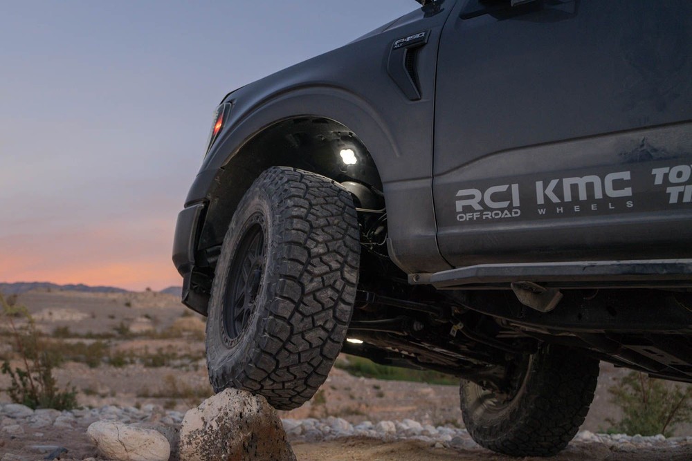 Diode Dynamics RGBW LED Rock Lights (4-Pack) w/Bluetooth Controller Jeep