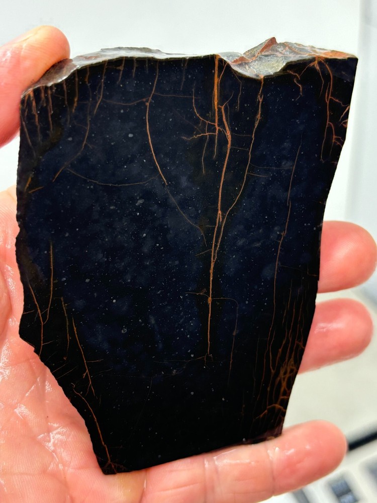 Spiderman Jasper slab Cabbing Lapidary Combo Ship Avail Oregon