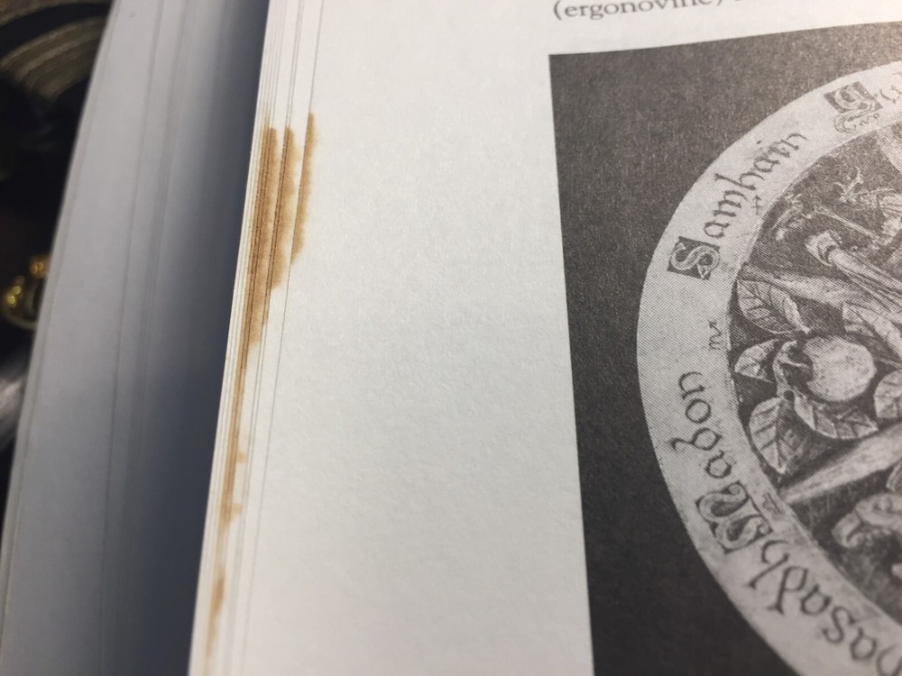 The Witches Craft by Raven Grimassi