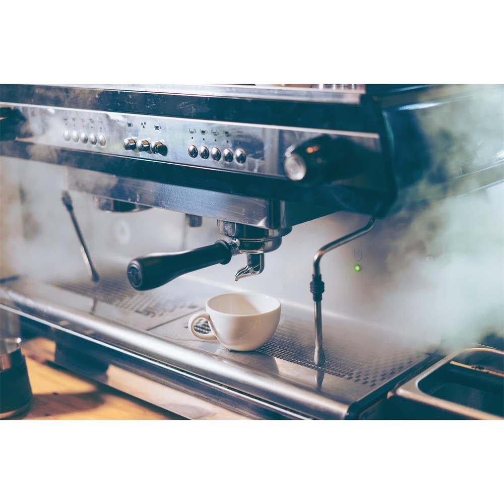 Gaggia Decalcifier Descaler Solution 250ml 2 Bottles