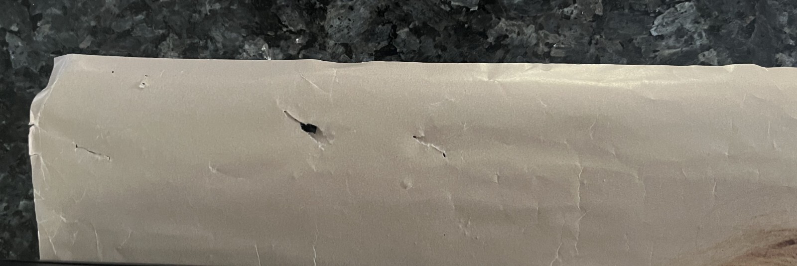 SUSAN ANTON "Golden Girl" 1979 Movie Vintage Wall Poster AVCO Embassy 24" X 36"