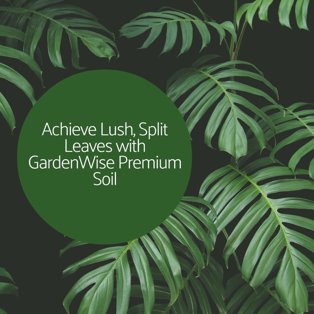 Monstera Potting Mix – Organic Soil w/ Fertilizer for Indoor & Outdoor Plants🌱