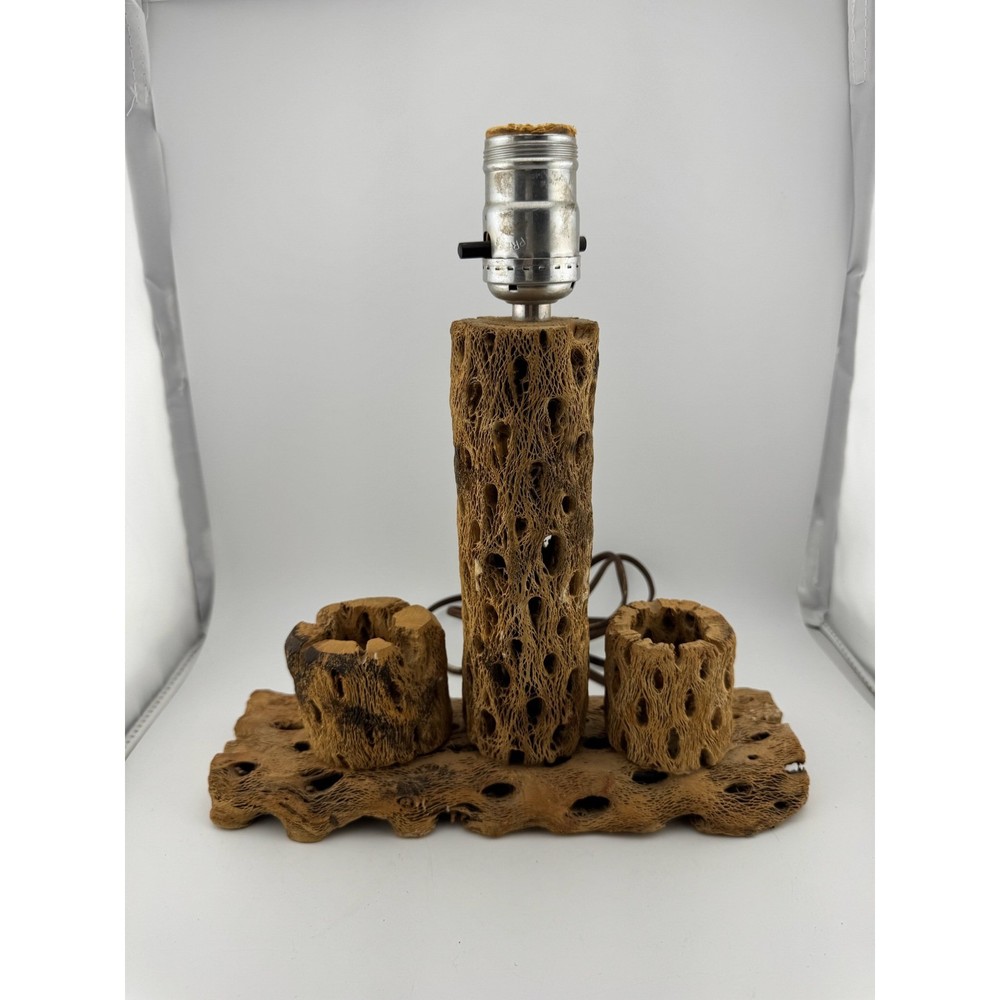 Cholla Cactus Lamp Rustic Desert Decor Table Lamp Unique Accent Lighting