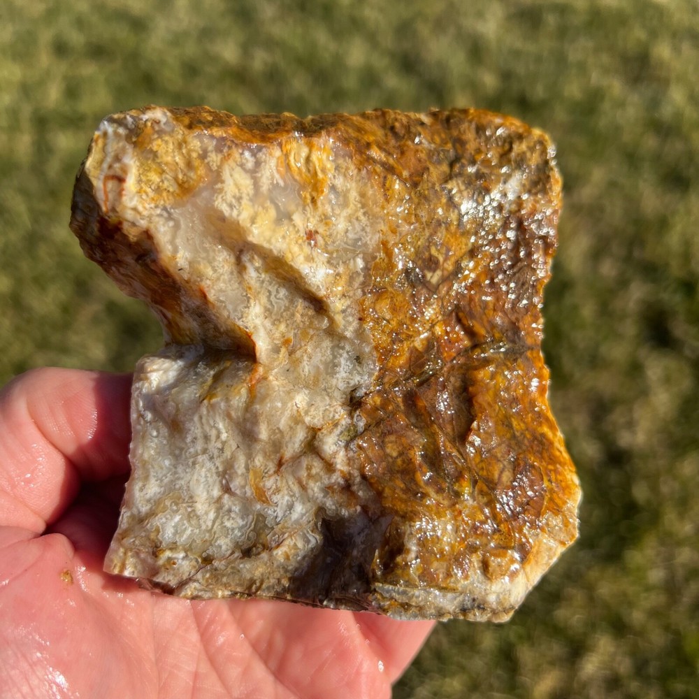 Stinking Water Plume Agate Rough Cut Specimen 452gm (R12)
