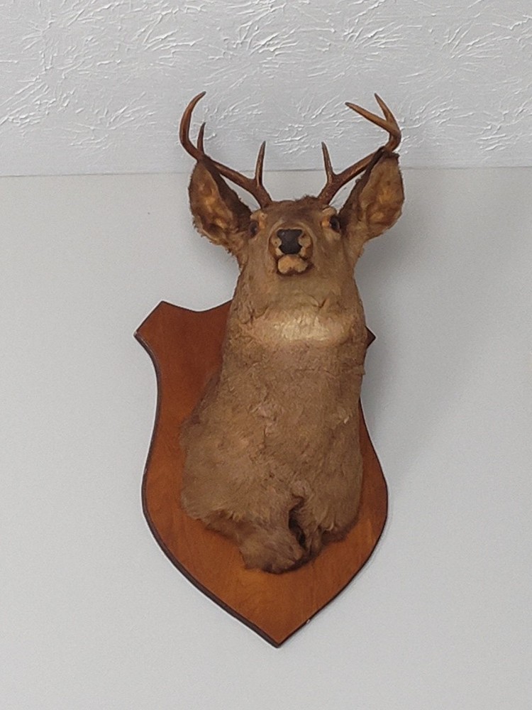 Bambi
