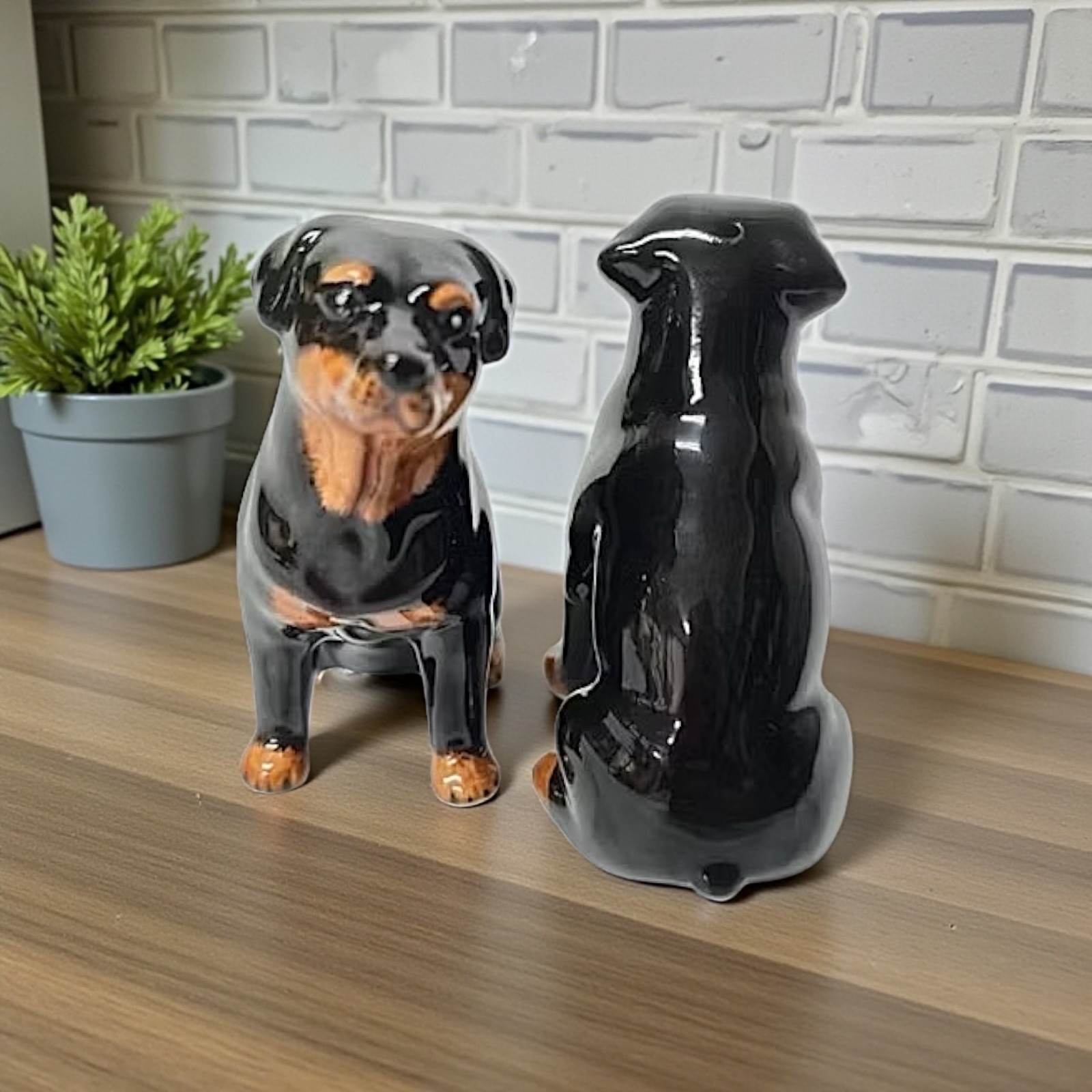 SET Salt&Pepper Shaker Ceramic Rottweiler Dog Figurine Hand Painted Home Decor