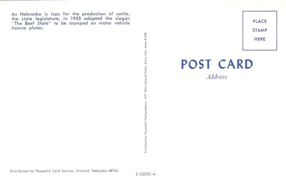 NEBRASKA'S HEREFORD CATTLE - PC2653