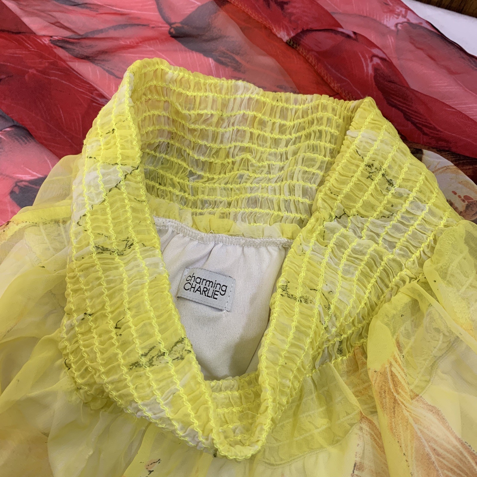 Long Maxi Skirt Size Small Sheer Overlay Lined Multi Color Feather Prints Charm