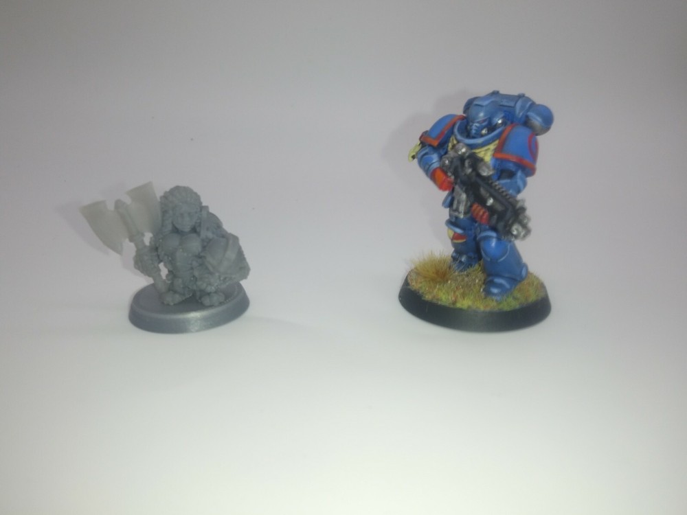 Female Dwarf warrior 