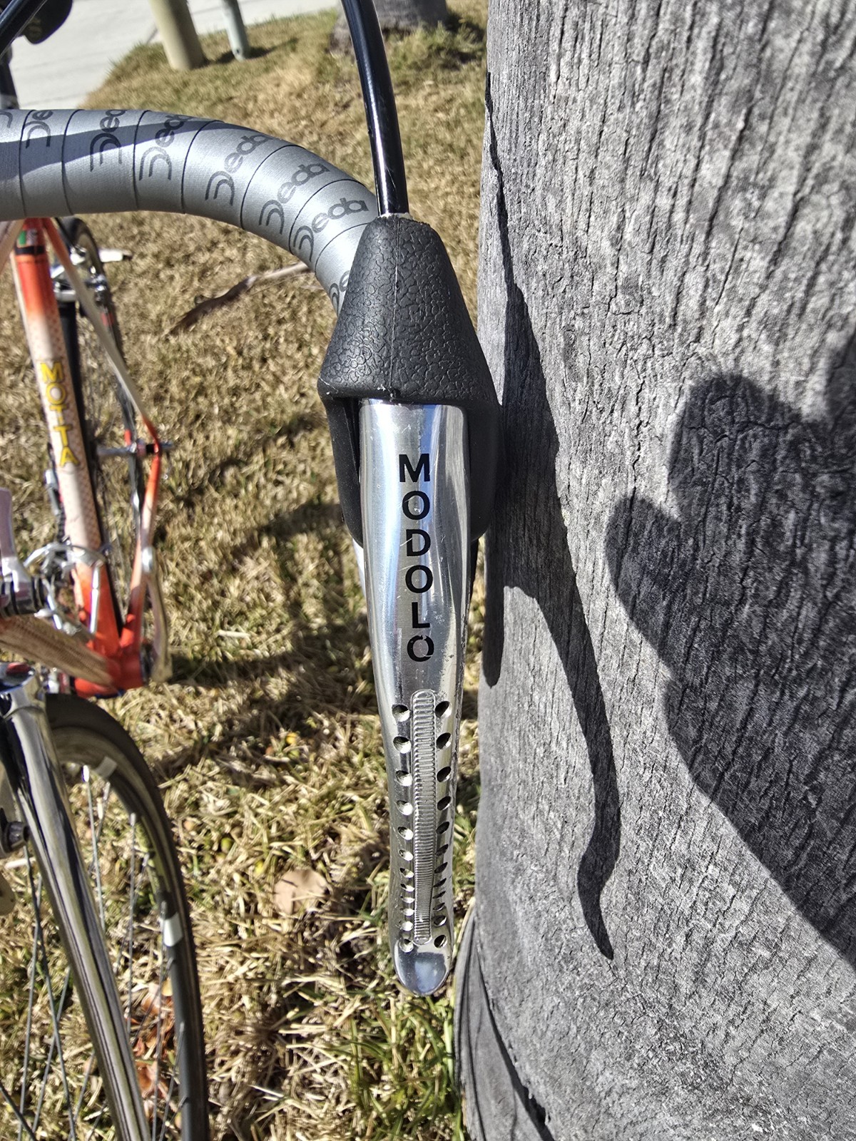 Gianni Motta Bike with Campagnolo Parts 53cm