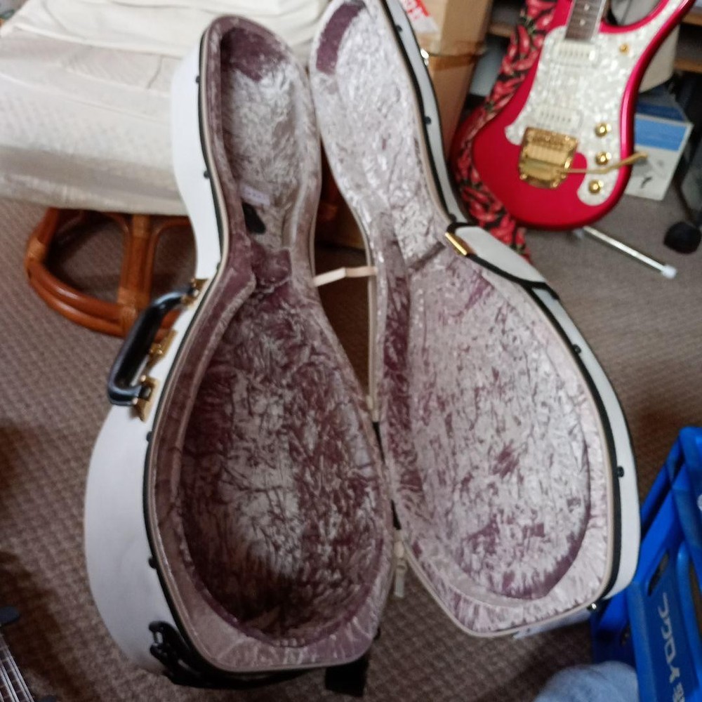 Mandolin soft case ultra lightght super light case