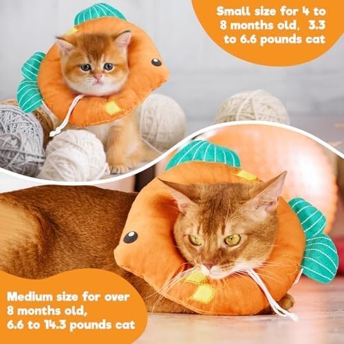 Cat Cone, Adjustable Cat Recovery Collar, Extra Soft Cat (Grapefruit, M)