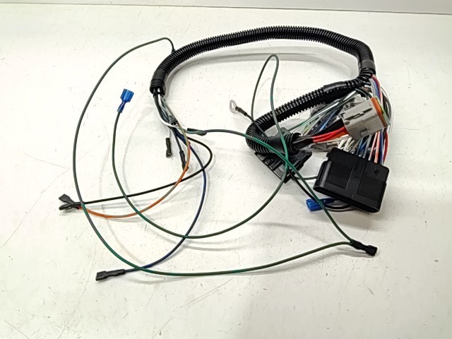 Harness, Sure Power Conversion - 2000 Polaris NOS
