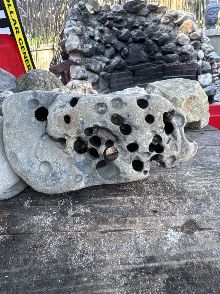 Natural Hag Stone