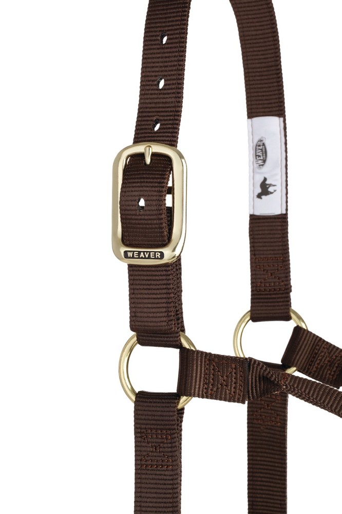 Original Non-Adjustable Halter , 1" Brown