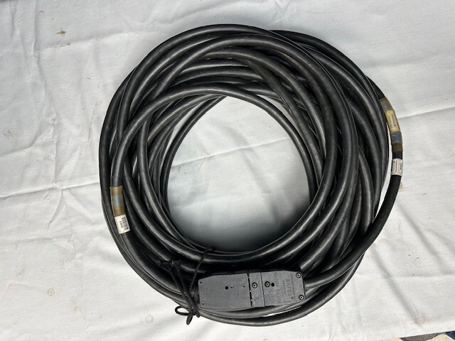 2P&G Stage Pin 100ft Cable
