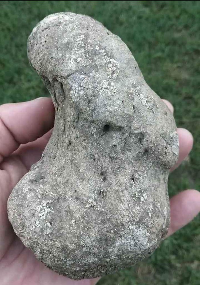 Nebraska Mammoth Toe Bone