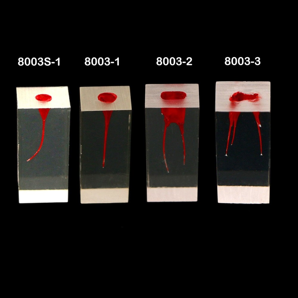 Dental Endo Root Canal Teeth Model Study Practice Block RCT Pulp Cavity