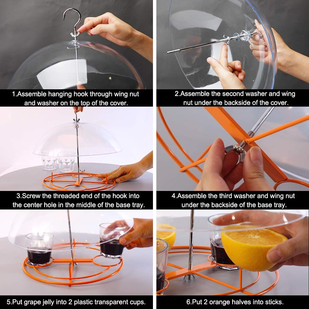 Solution4Patio Baltimore Oriole Feeder, Orange Halves Fruit & Grape
