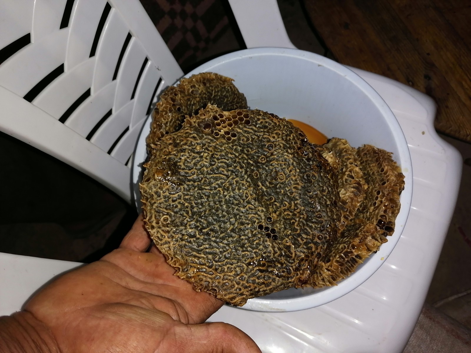 Moroccan natural bee honey