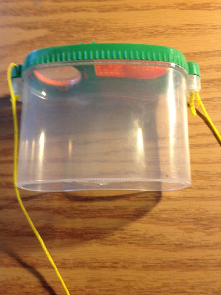 green orange and clear bug habitat