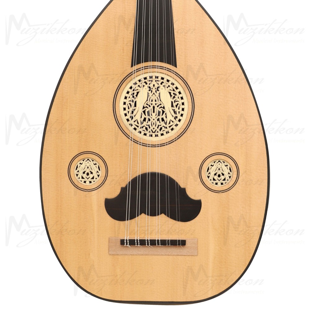 Heartland Arabic Oud 12 Strings Lacewood