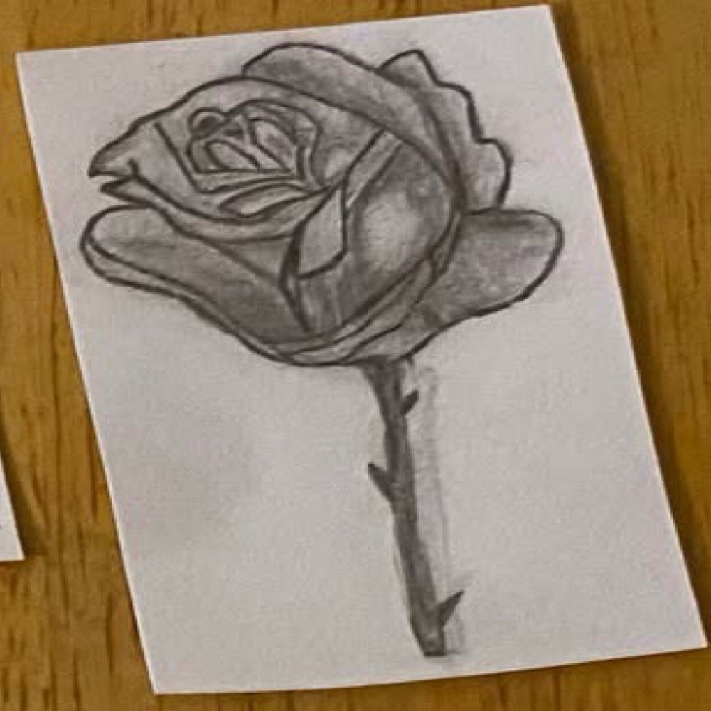 Rose Sketch Drawing