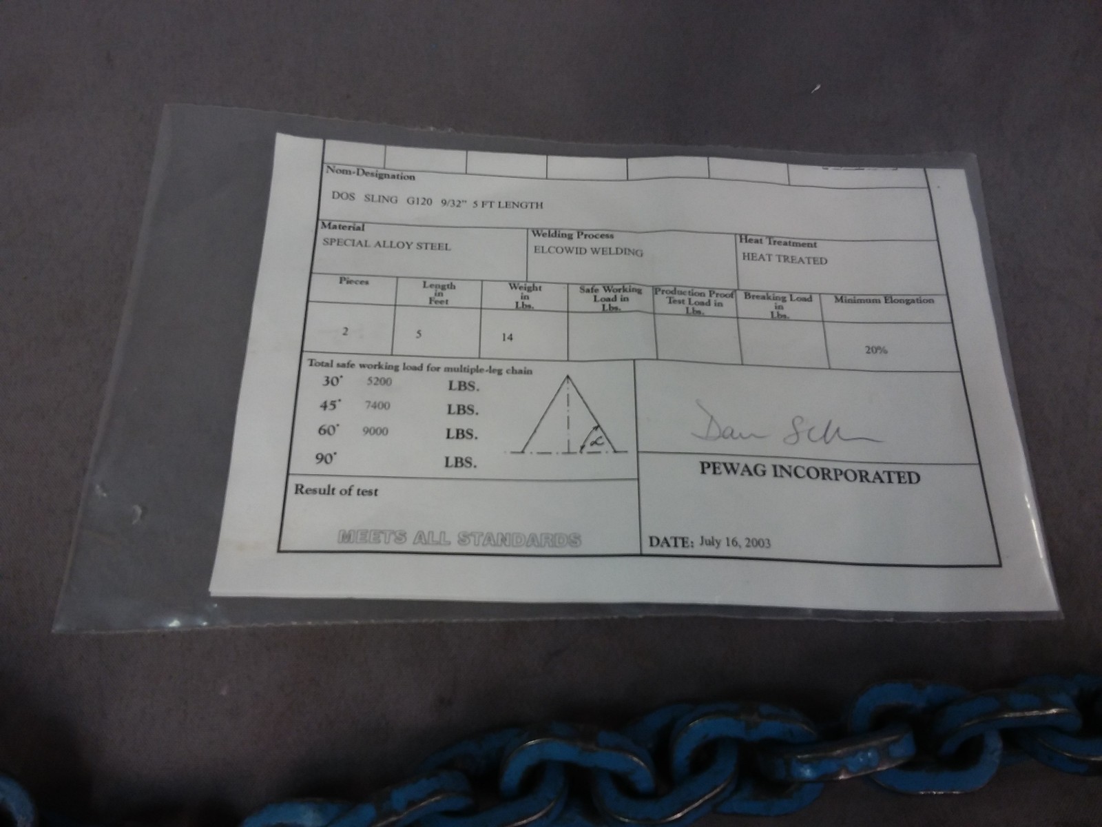 Pewag 9/32" ChainSling Grade 120 5' Reach 9000 LB DOS Cert.