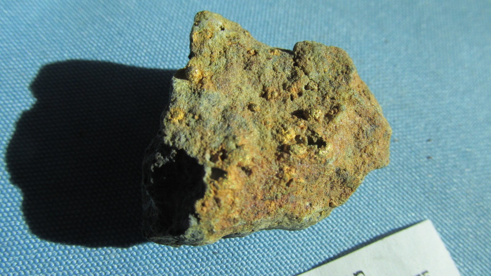 Cripple Creek Colorado Roasted Sylvanite Visible Free Gold Specimen-1.50 x 1.00