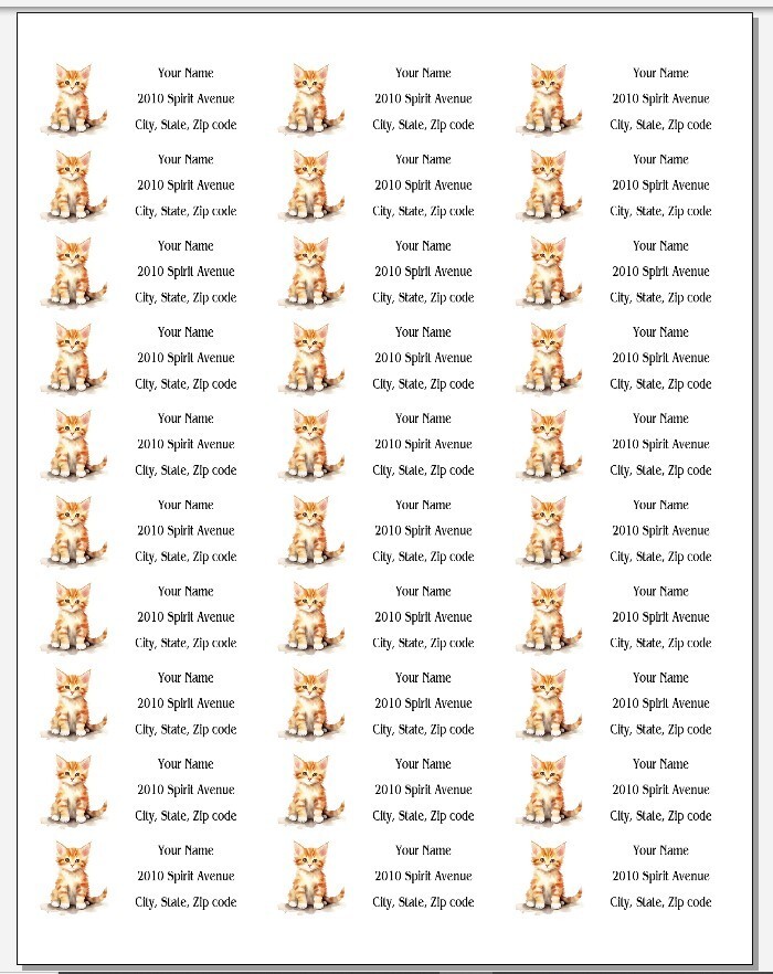 150 Ginger Kitten Kitty Cat Orange Mailing Return Address Labels Personalized