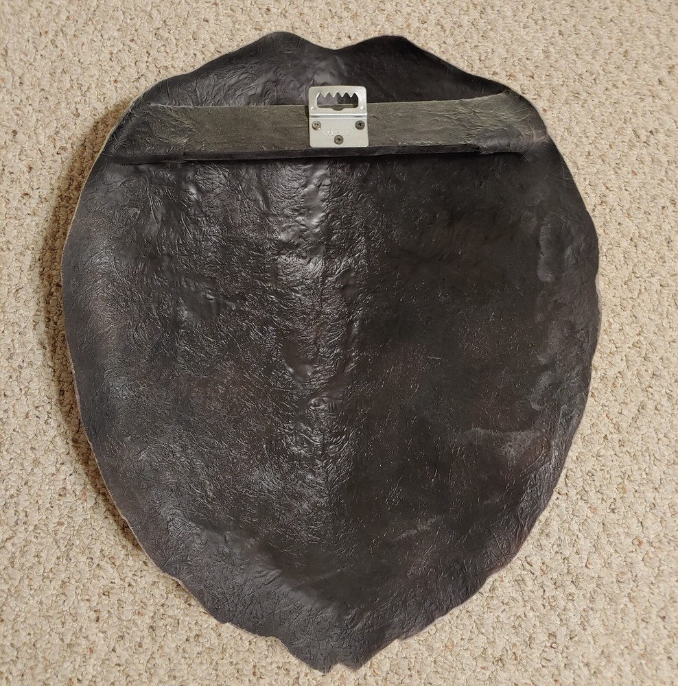Hawks Bill Turtle Shell Replica Call 352-457-9030